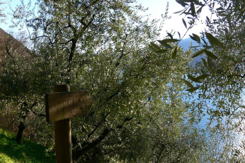Luci Sul Lago - A Real Paradise Perledo Eksteriør billede