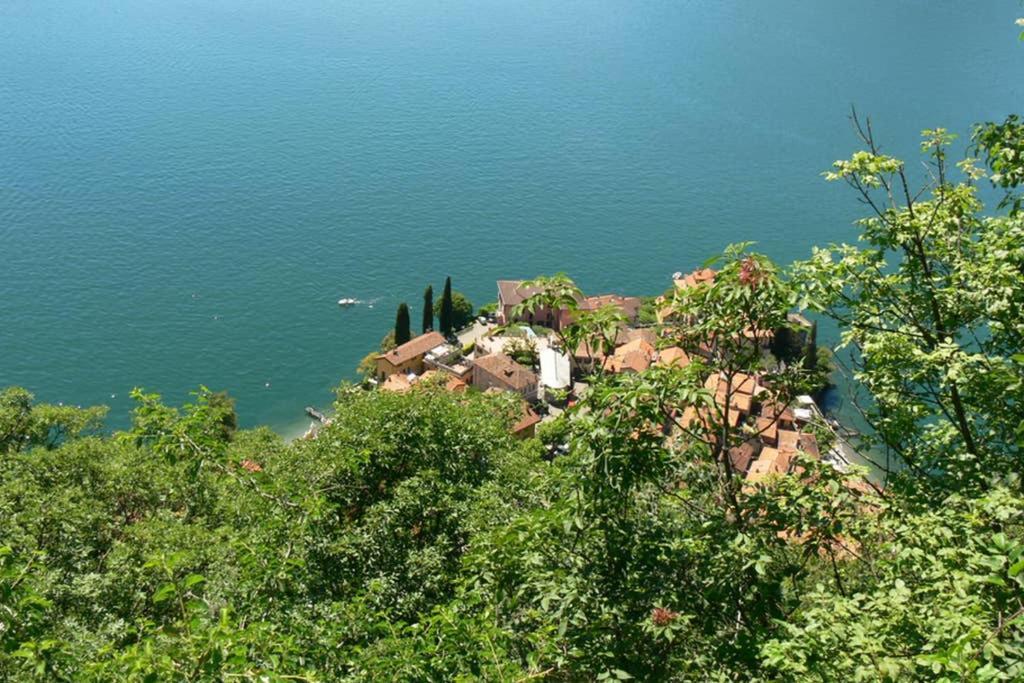 Luci Sul Lago - A Real Paradise Perledo Eksteriør billede