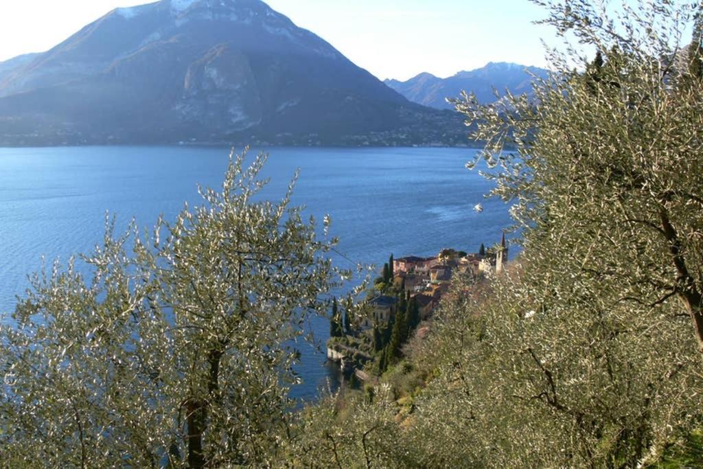 Luci Sul Lago - A Real Paradise Perledo Eksteriør billede