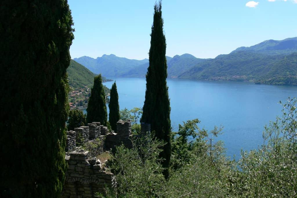 Luci Sul Lago - A Real Paradise Perledo Eksteriør billede